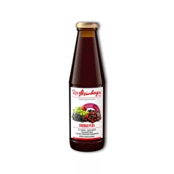 Dr. steinberger plus eisenblut 450 ml drs