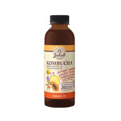 Viva natura kombucha konc. echinacea 500ml