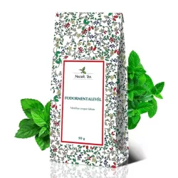 Mecsek tea fodormentalevél szálas 50g - bio és refomélelmiszer