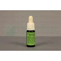 Bach virágeszencia vadgesztenyerügy 10 ml - aromaterápiás és wellness termékek