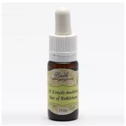 Bach virágeszencia ernyős madártej 10ml - aromaterápiás és wellness termékek