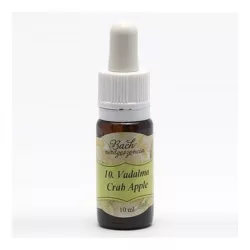 Bach virágeszencia vadrózsa 10ml - aromaterápiás és wellness termékek