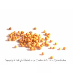 Herbatrend szálas zacskós fehér mustármag 100g - bio és refomélelmiszer