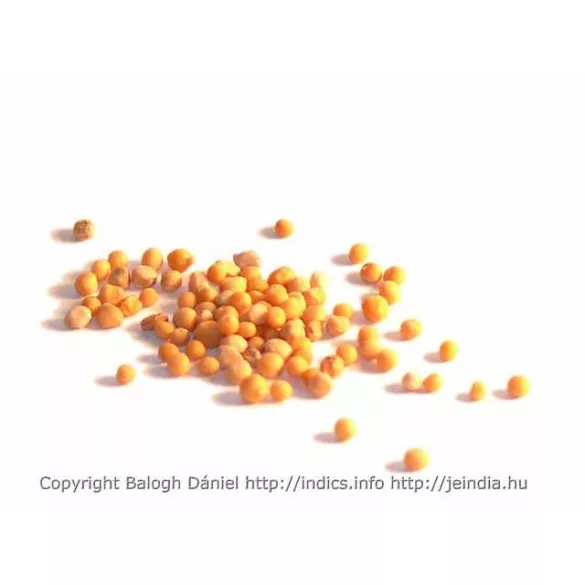 Herbatrend szálas zacskós fehér mustármag 100g - bio és refomélelmiszer