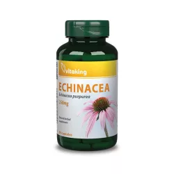 Vitaking echinacea 90db - bio és vegán étrendkiegészítők