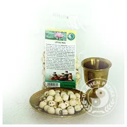 Dr.chen lótusz mag 40g - bio és refomélelmiszer