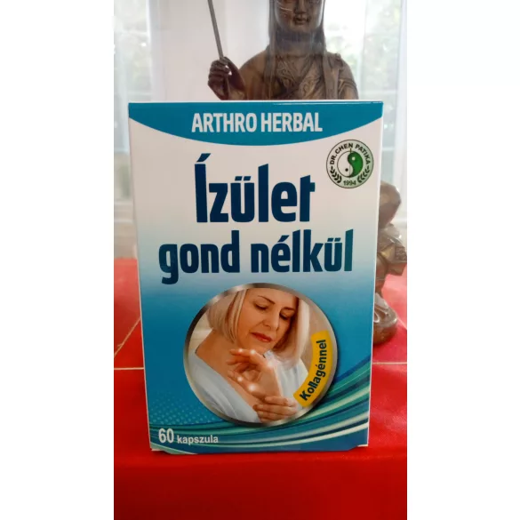 Dr.chen ízület gond nélkül kapszula 60db