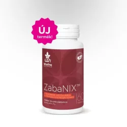 Wtn zabanix™ 60 kapszula