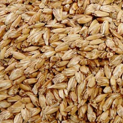 Prana tönkölyhéj 500 g - bio és natúr kozmetikumok