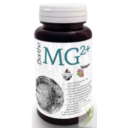 Bartha mg2+ magnézium 75 db - bio és vegán étrendkiegészítők