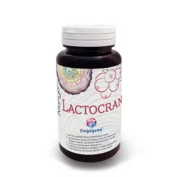 Freyagena áfonya lactocran 60 kapszula
