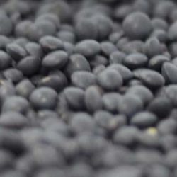 Bio greenmark lencse fekete beluga 500g - bio és refomélelmiszer