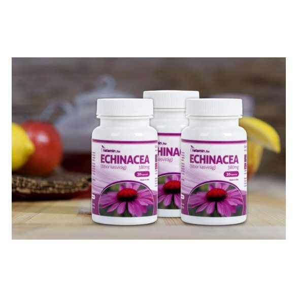 Netamin Echinacea 380 mg kapszula