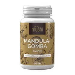 Mushi agaricus