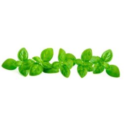 Everest shalari köszvény ízületi duzzanat tea 100g