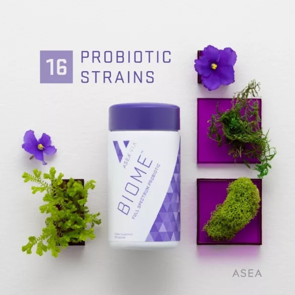 ASEA VIA Biome